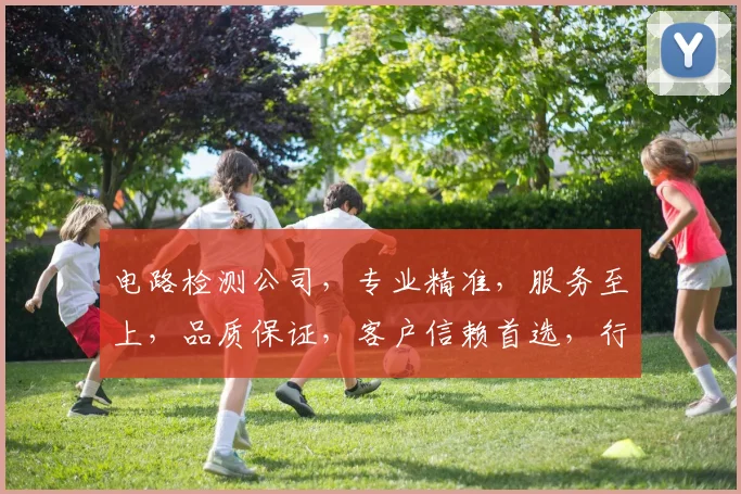 电路检测公司，专业精准，服务至上，品质保证，客户信赖首选，行业领先品牌。