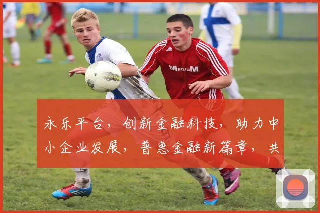 永乐平台，创新金融科技，助力中小企业发展，普惠金融新篇章，共赢未来