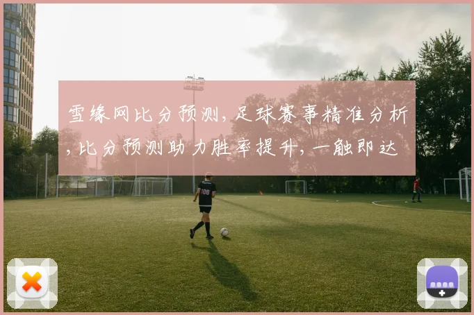 雪缘网比分预测,足球赛事精准分析,比分预测助力胜率提升,一触即达