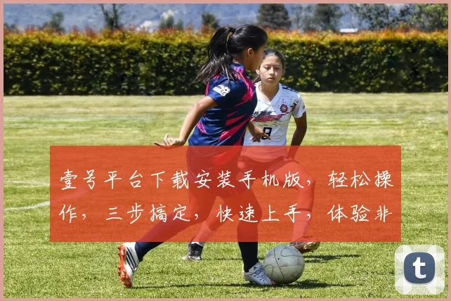 壹号平台下载安装手机版，轻松操作，三步搞定，快速上手，体验非凡