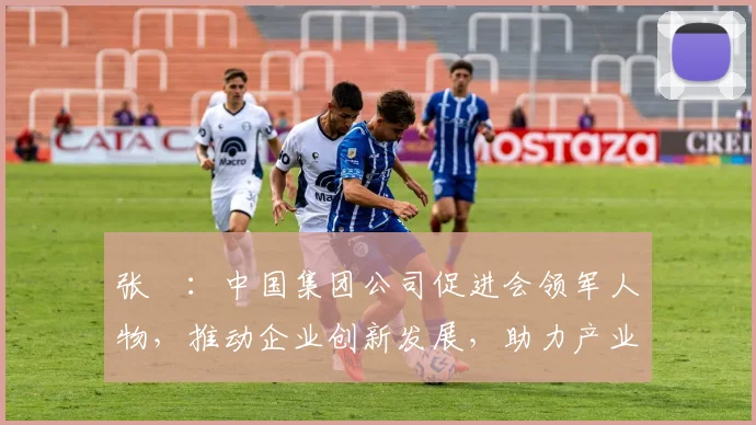 张彧：中国集团公司促进会领军人物，推动企业创新发展，助力产业升级三步走