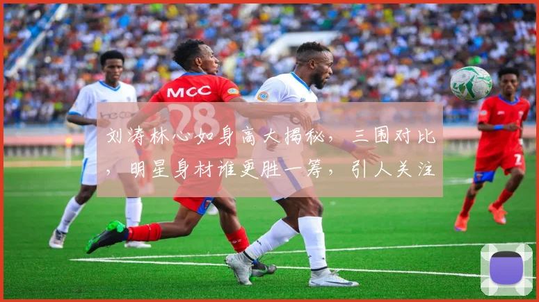 刘涛林心如身高大揭秘，三围对比，明星身材谁更胜一筹，引人关注