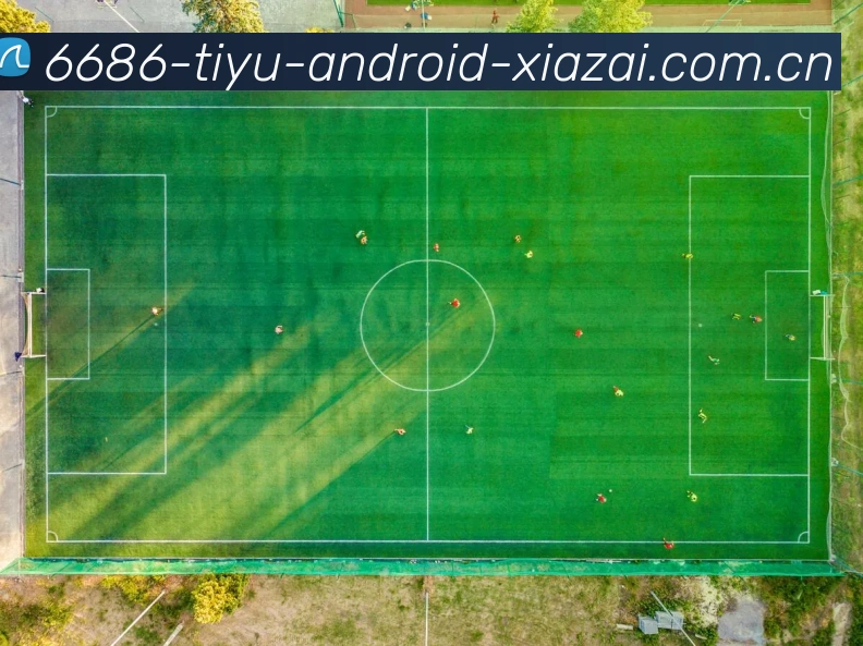 6686体育安卓下载APP 体育赛事宣传图
